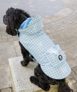 Foggyshore.shopf8da4a7d55 2