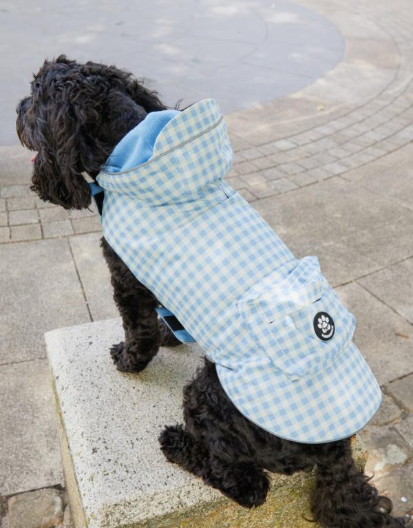 Foggyshore.shopf8da4a7d55 2